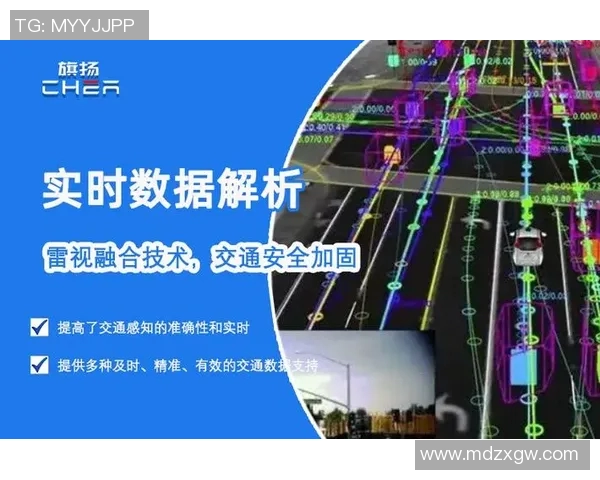 深入解析杭州足球队战术表现与数据分析的关联性与影响因素