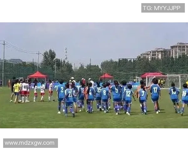 足球场上的传奇与梦想电影中的足球明星故事