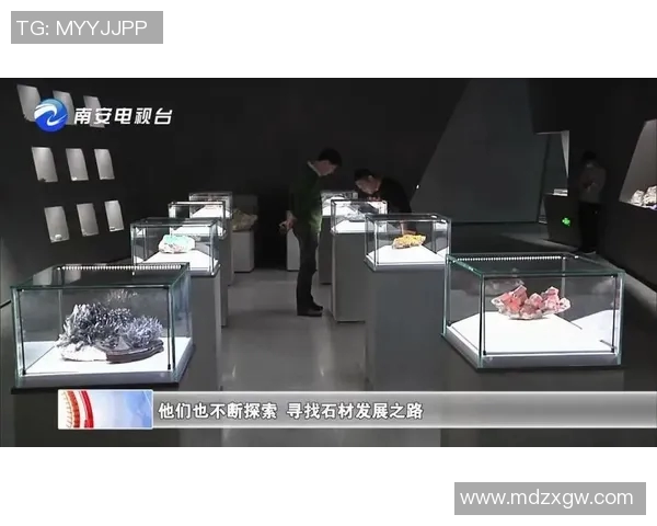 南京排球队的转型之路探索与挑战并存的冠军赛特别报道