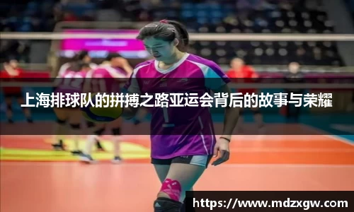 上海排球队的拼搏之路亚运会背后的故事与荣耀