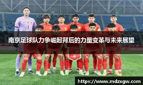 南京足球队力争崛起背后的力量变革与未来展望