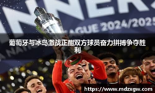 葡萄牙与冰岛激战正酣双方球员奋力拼搏争夺胜利
