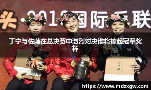 丁宁与佐藤在总决赛中激烈对决谁将捧起冠军奖杯