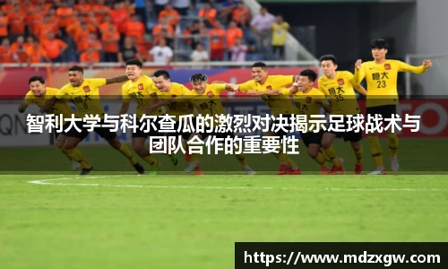 mk体育官网